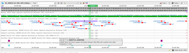 File:AER Primer Screenshot.png