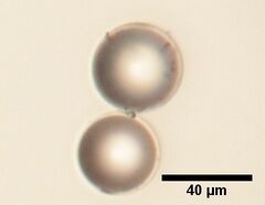 40 μm silica beads