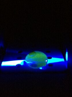 Proper Fluorimeter Assembly