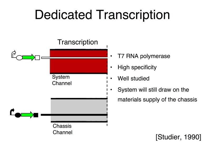 File:Dedicated Transcription.jpg