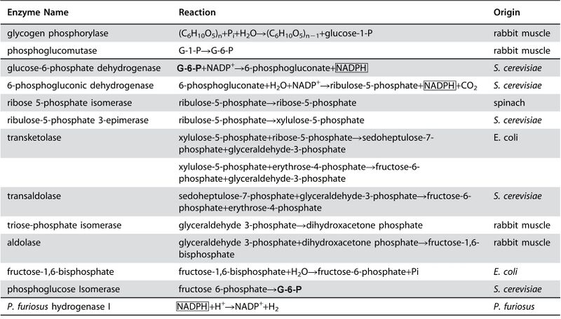 File:Enzymes3.jpg