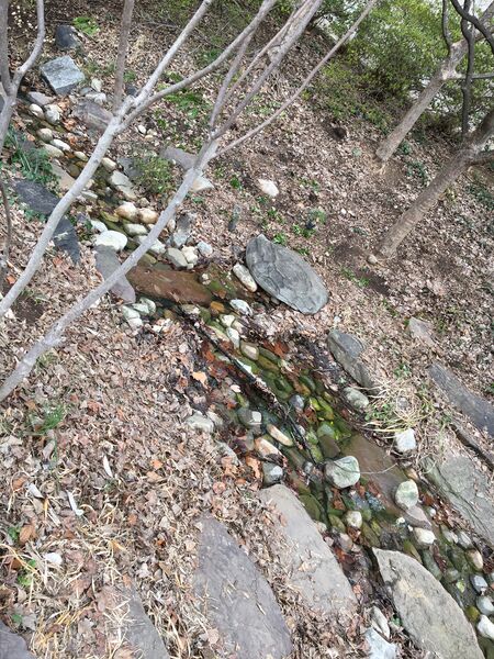 File:Group 2 pic2.JPG