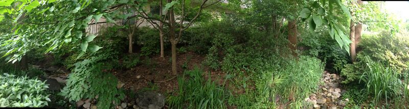 File:IMG 6287Hart.jpeg