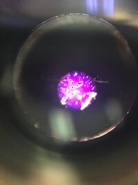 Picture of 10^(-7) no tet. Measures 4µm to 20µm at 40X magnification