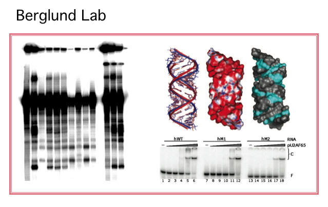 File:Lab label2.tif