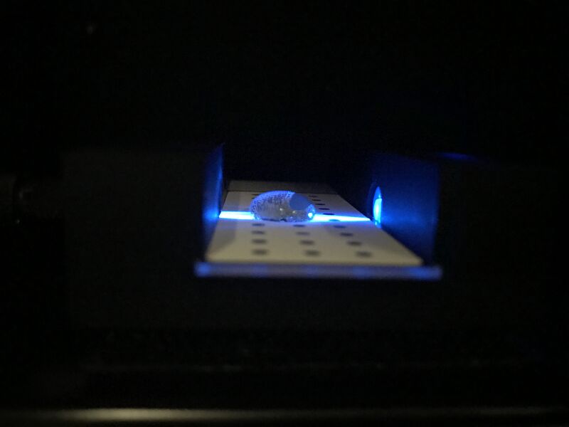 File:Picture forthis2.jpg