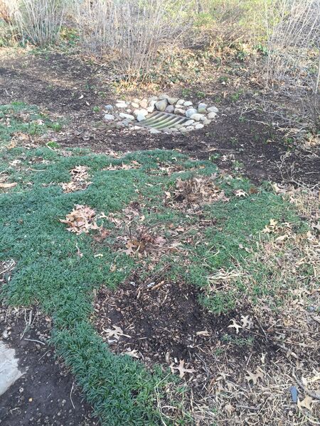 File:Tansect 4-1.jpeg