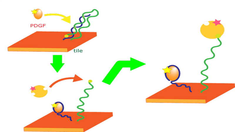 File:Todai Recognition ideal mod.png