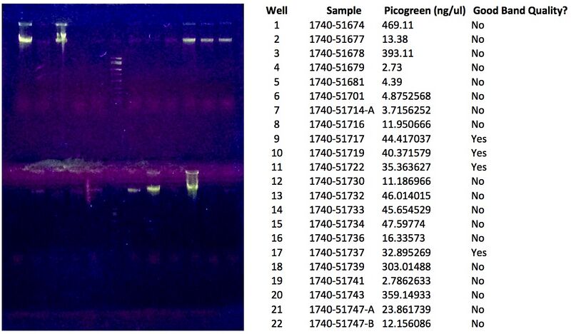 File:WIFL NAU 1740-51674.jpg