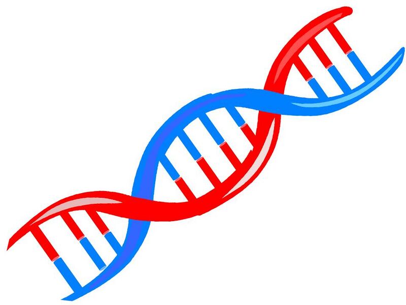 File:Why DNA.jpg