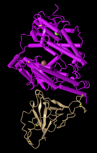 File:Kam T cylinder and plate.png