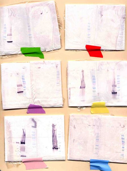 File:Macintosh HD-Users-nkuldell-Desktop-Westerns W=F.jpg