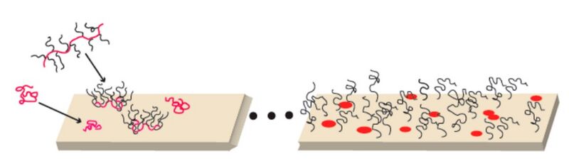 File:PEG brush surface.jpg