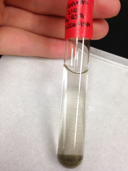 File:210, oven + Au.jpg