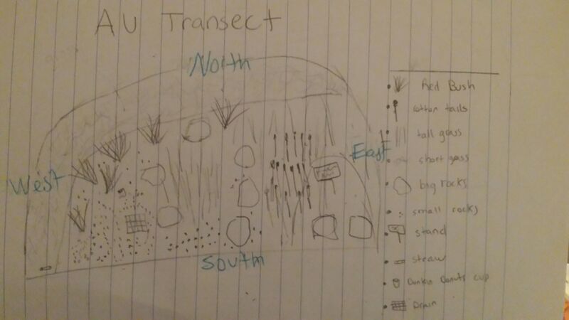 File:Au transect group1.jpg