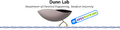 Thumbnail for version as of 07:01, 20 July 2009
