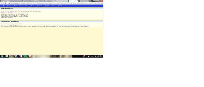 File:Lab bgroup141030.png