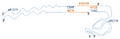 Thumbnail for version as of 16:07, 6 November 2009