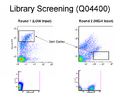 Thumbnail for version as of 16:46, 22 May 2007