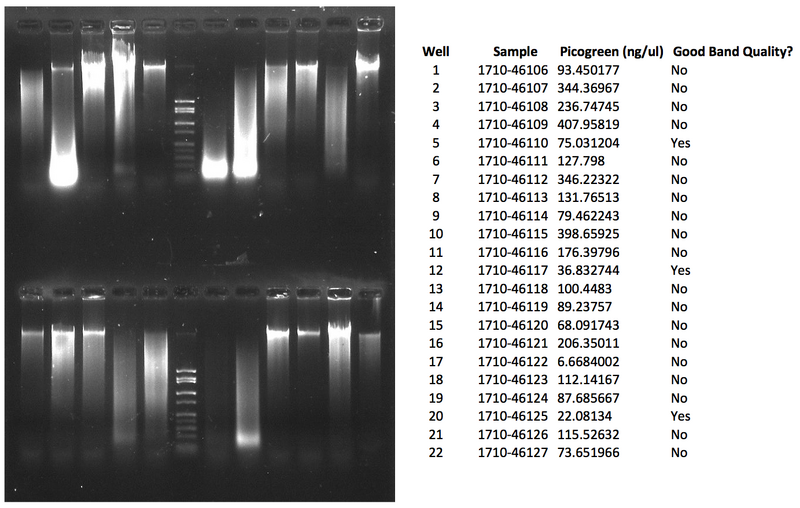 File:WIFL NAU 1710-46106.png