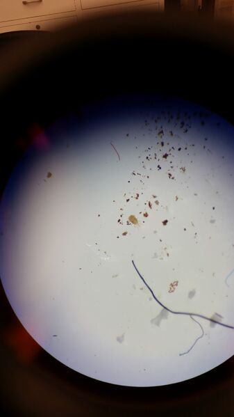 File:20160211 133807.jpg