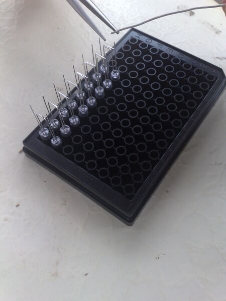 File:LED Array test 1.jpg