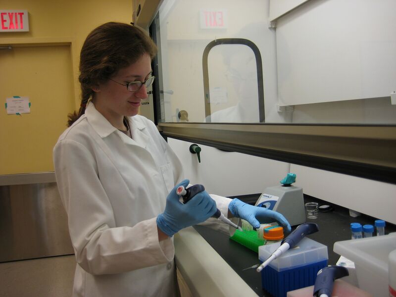 File:Payne Lab ~ Solarie.jpg