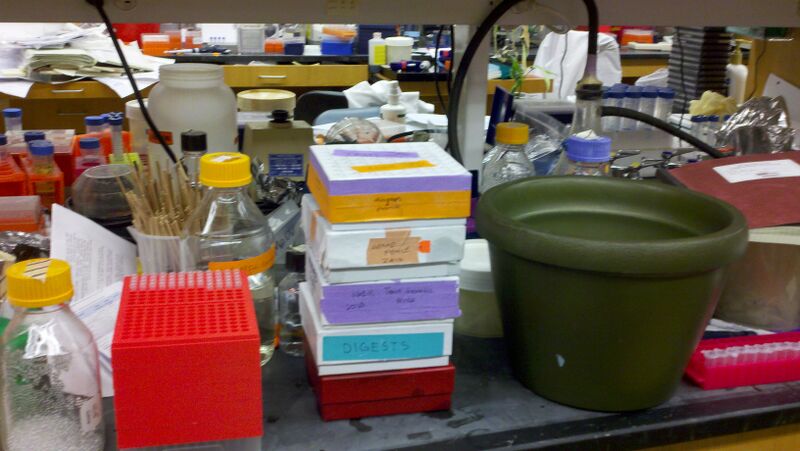 File:2011-01-20 16-56-46 531.jpg