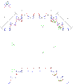 Front 3 faces (C,D,E) Inside view. Only in-facing aptamers which come off of oligo endpoints.