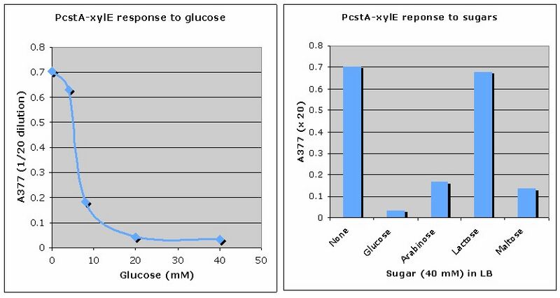 File:Glc repression.jpg