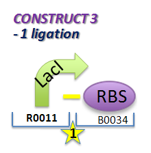 File:II09 ConstM1a.jpg