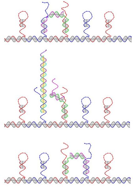 File:SecondStep.jpg