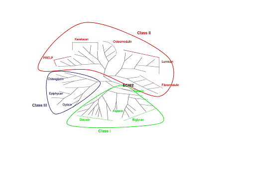 File:Unrooted tree.tif