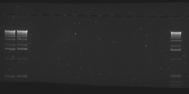 File:20101215 Good.TIF