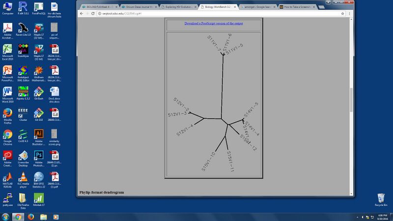 File:Image-tree4.jpg--