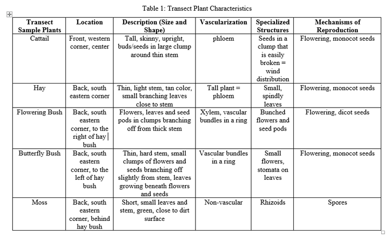 File:Plant chart.png