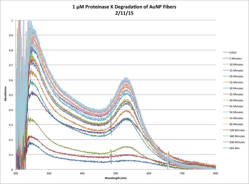 File:1µM ProtK Kinetics AbsvsTime Chart.png