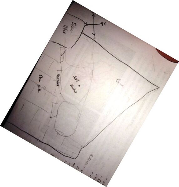 File:April Schattner Transect 5 Diagram.jpg