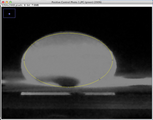 ImageJ Green-Channel isolated Positive Control image with circle around droplet.