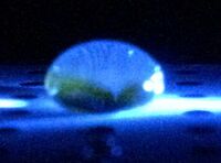 Description of image