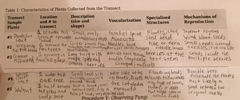 File:FullSizeRender (10).png