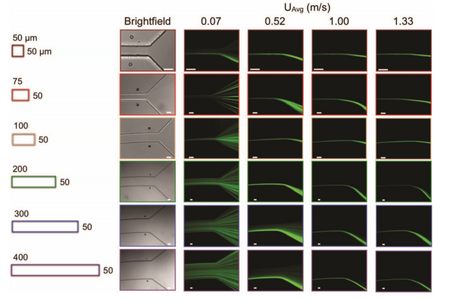 Figure 13. Channel geometry and flow rate effect on separation [10]