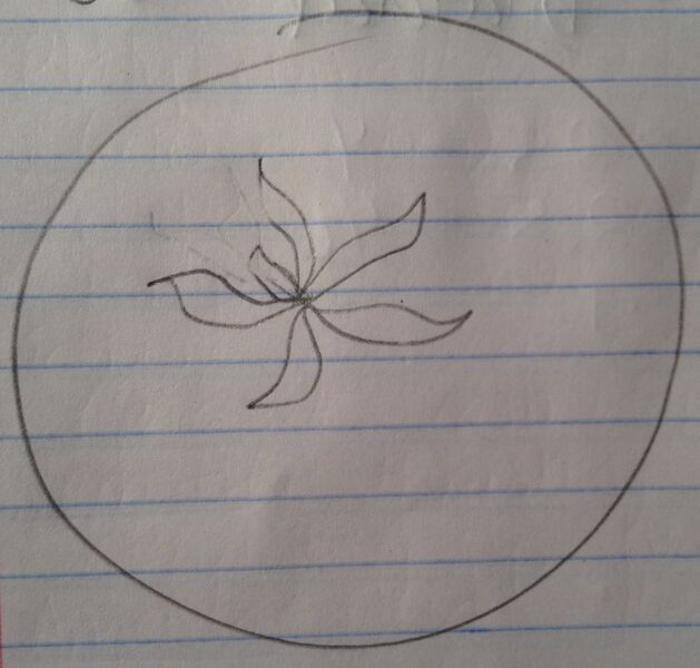 File:Nbonan 15 07 2014 sucking louse.JPG