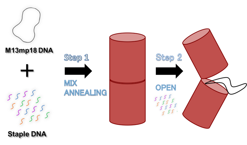 File:Gaiyou naoshi.png