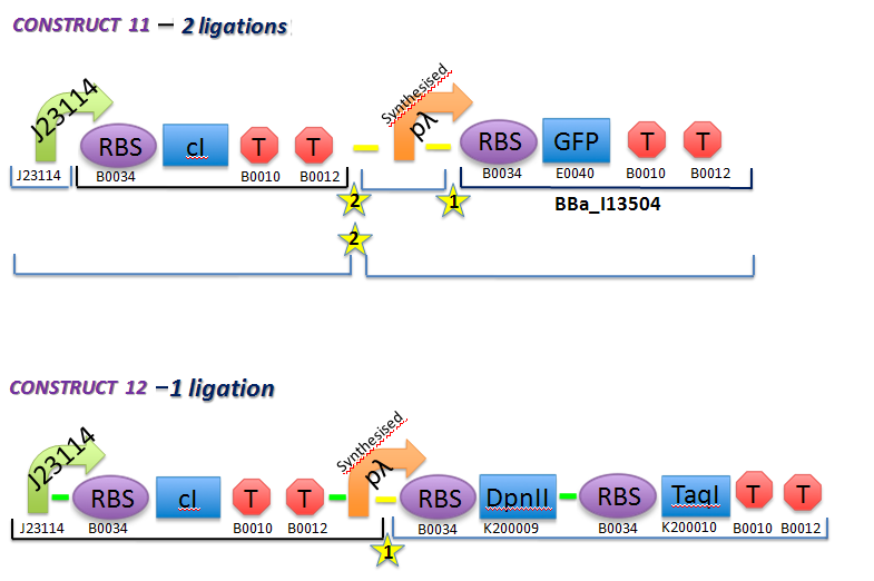 File:II09 ConstructsM3(b).jpg