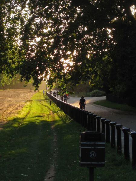 File:London Hyde Park.JPG