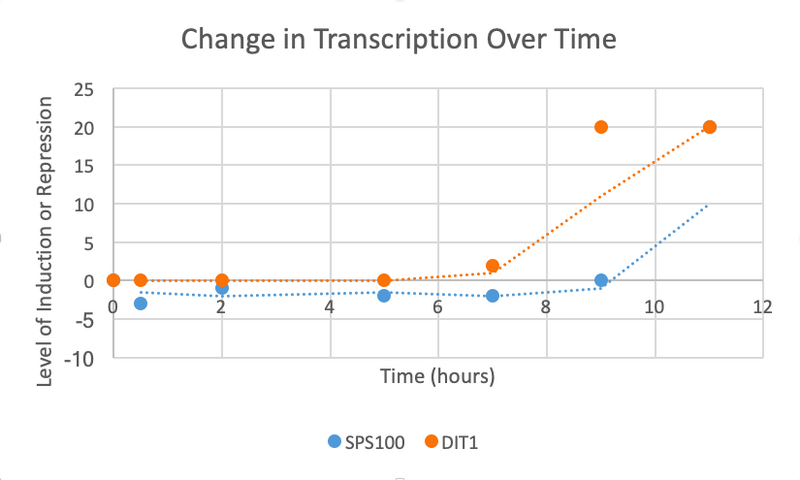 File:Screen Shot 2019-01-29 at 3.00.56 PM.png