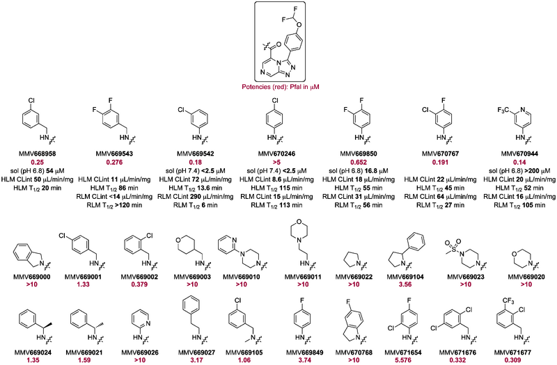 File:Amide Library.png