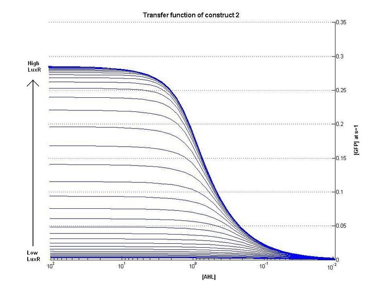 File:ICGEMS ID tf C2 AHLvGFP.jpg
