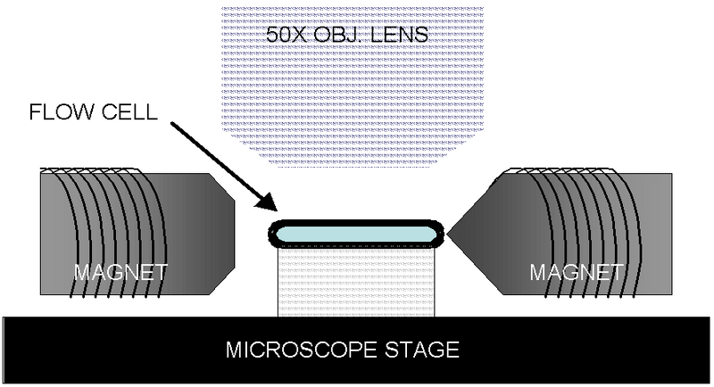 File:MagMT Fig 1a.png